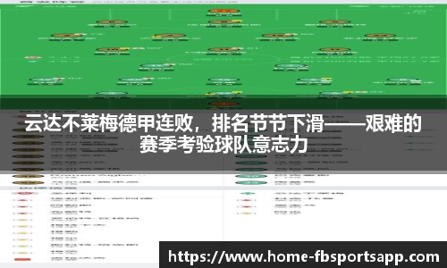 FB体育